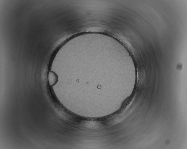 X0000102350348200808291206