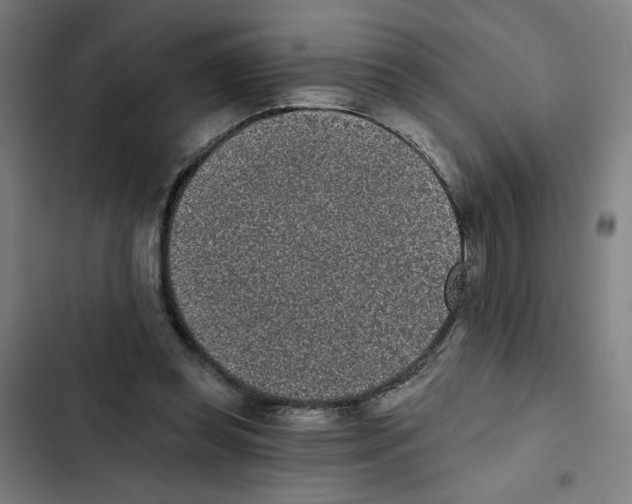 X0000102350349200808291206
