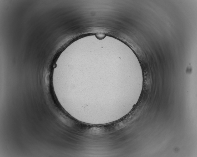 X0000102350350200808291207