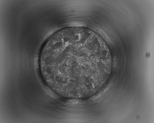 X0000102350351200808291207