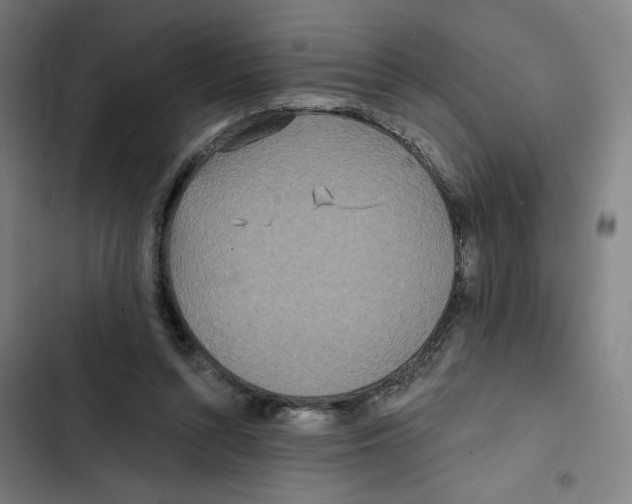X0000102350352200808291207