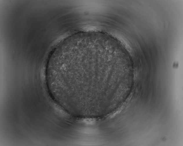 X0000102350353200808291207