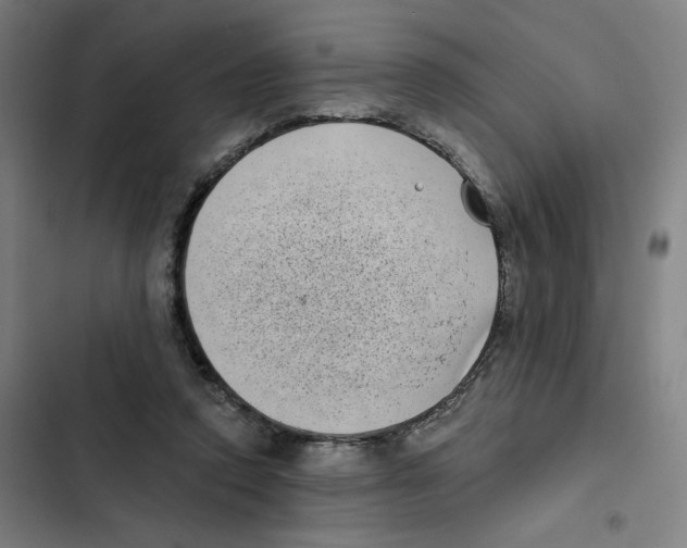 X0000102350354200808291207
