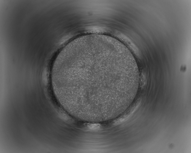 X0000102350355200808291207