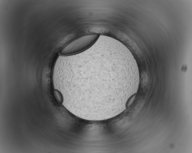 X0000102350356200808291207