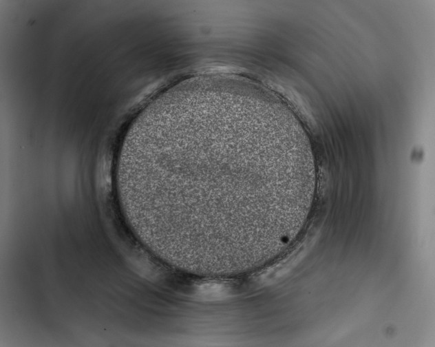X0000102350358200808291207