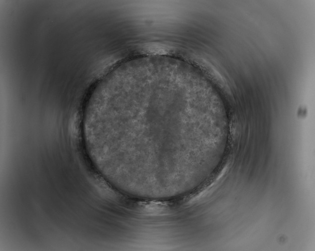 X0000102350359200808291207
