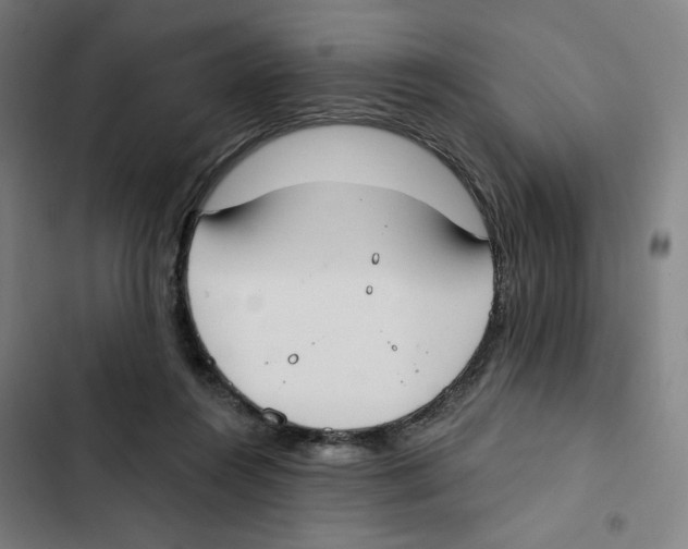 X0000102350360200808291207