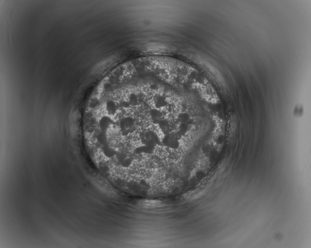 X0000102350361200808291207