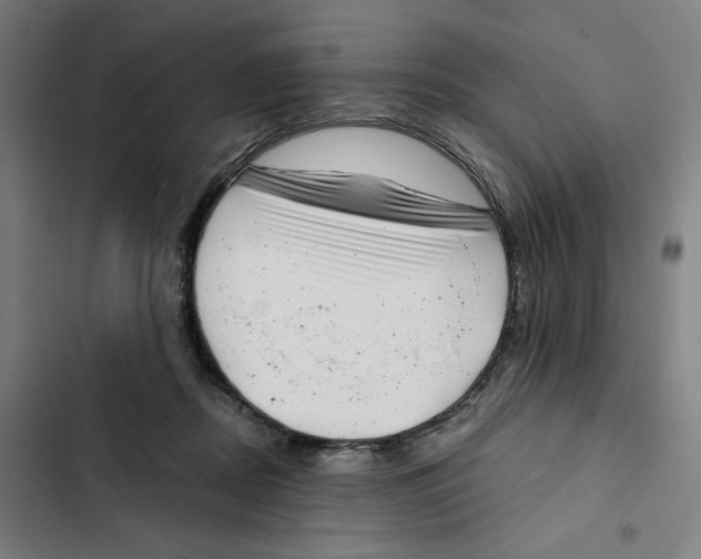 X0000102350362200808291207