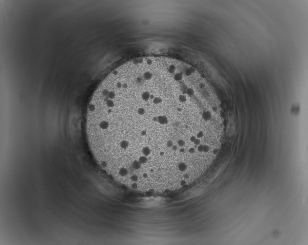 X0000102350363200808291207