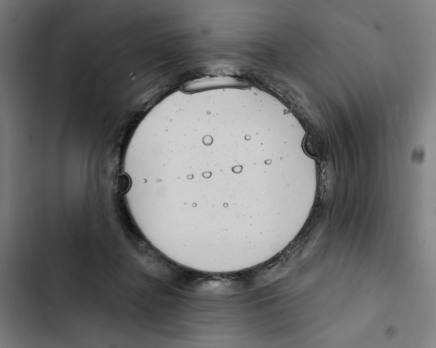 X0000102350364200808291207