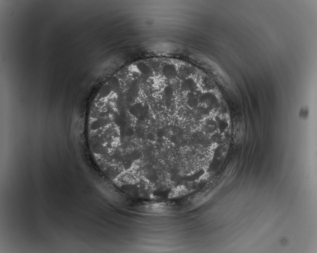 X0000102350365200808291207