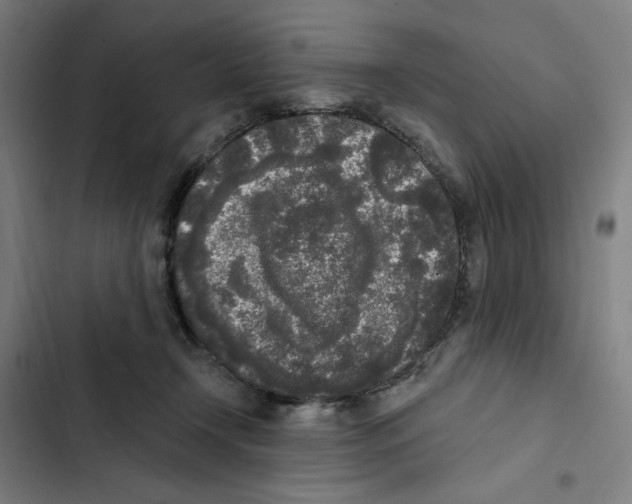X0000102350366200808291207