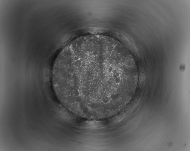 X0000102350367200808291207