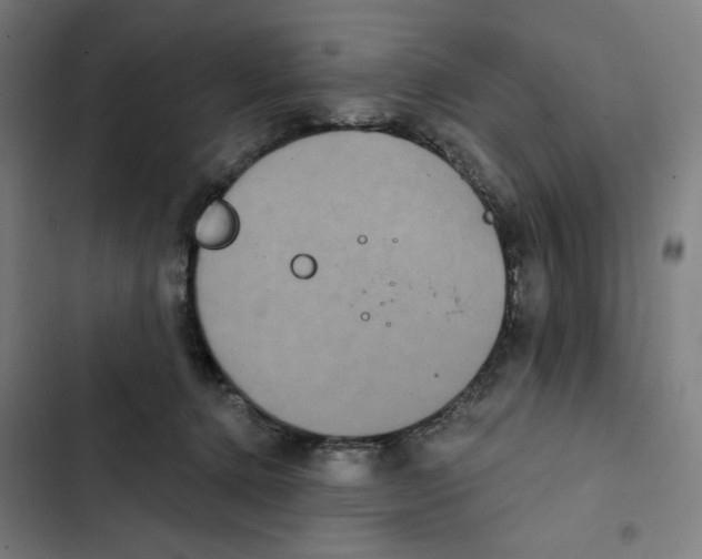 X0000102350368200808291207