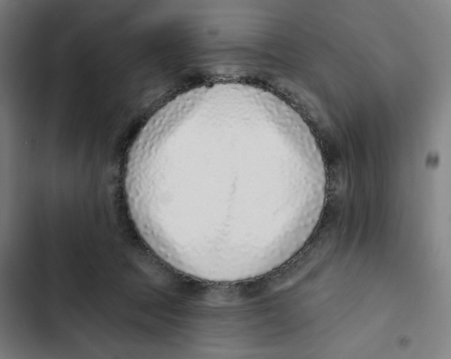 X0000102350369200808291207