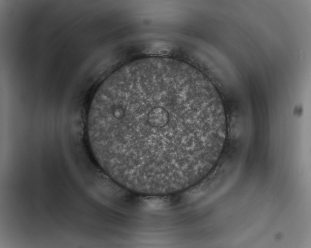 X0000102350370200808291207