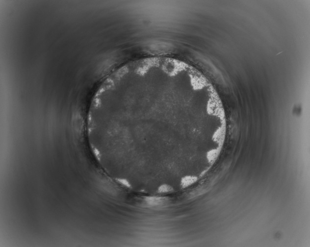 X0000102350371200808291207
