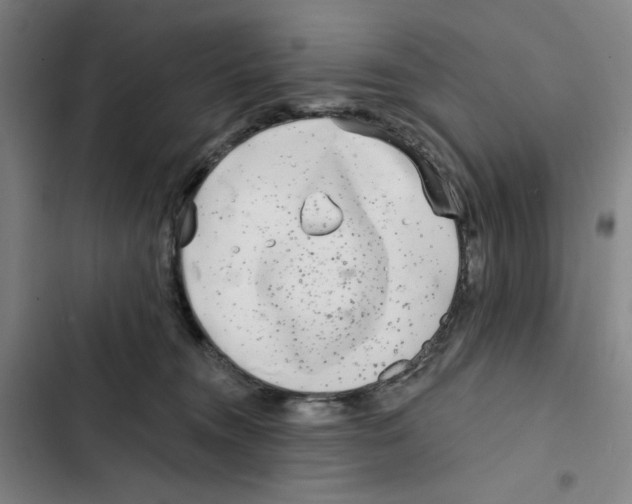 X0000102350372200808291207