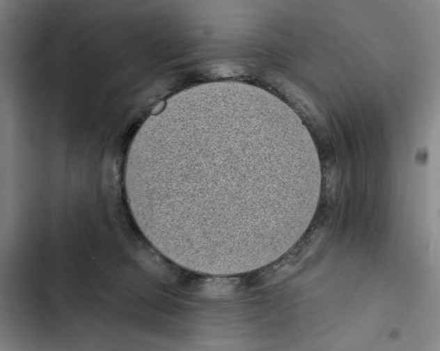 X0000102350373200808291207