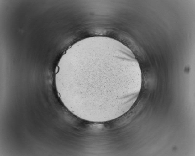 X0000102350374200808291207