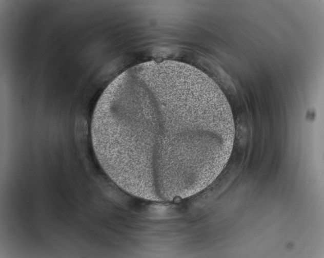 X0000102350375200808291207