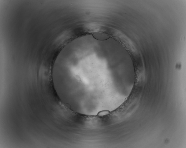 X0000102350376200808291207