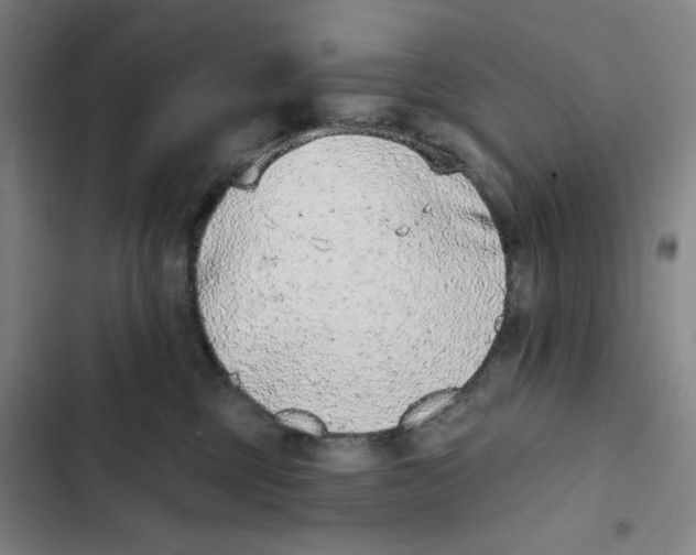 X0000102350377200808291207