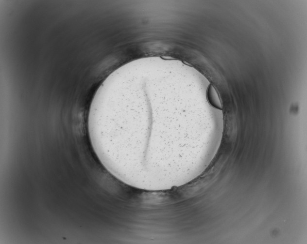 X0000102350378200808291207