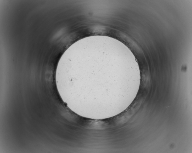 X0000102350379200808291207