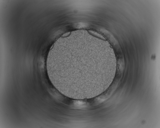 X0000102350380200808291207