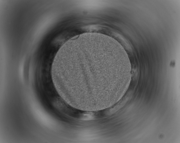 X0000102350381200808291207