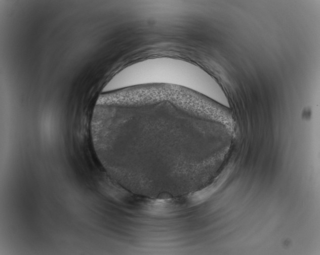 X0000102350382200808291207