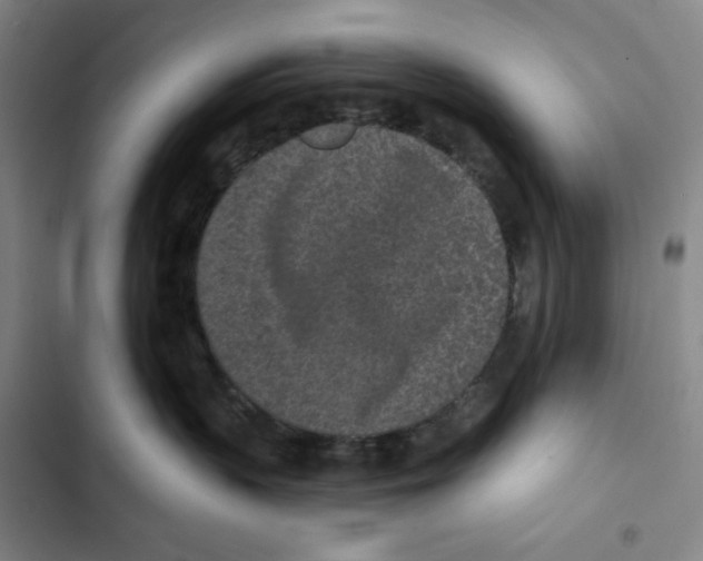 X0000102350383200808291207