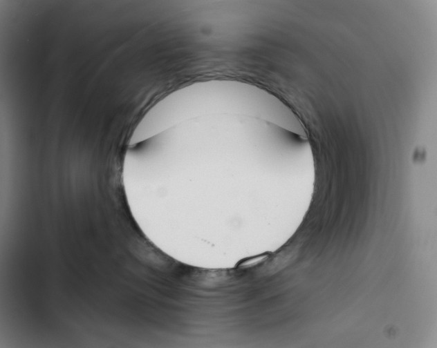 X0000102350384200808291207