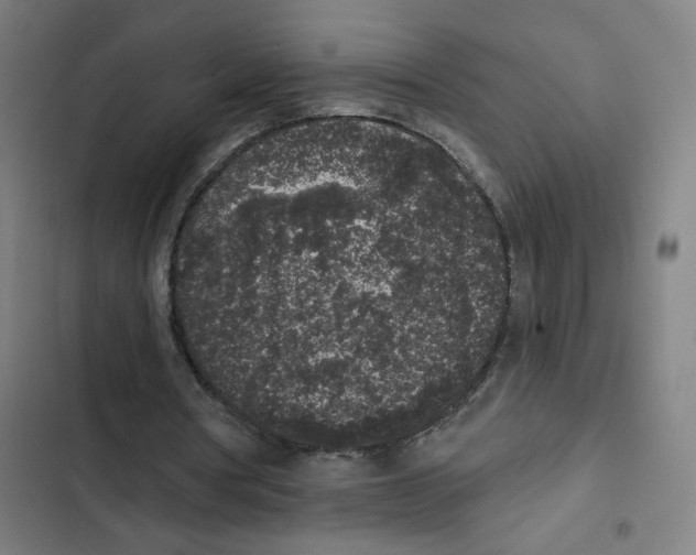 X0000102350386200808291206
