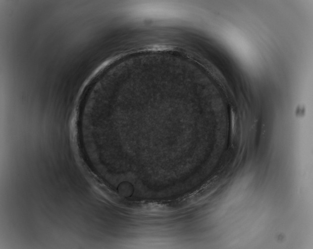 X0000102350387200808291206