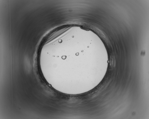 X0000102350388200808291206