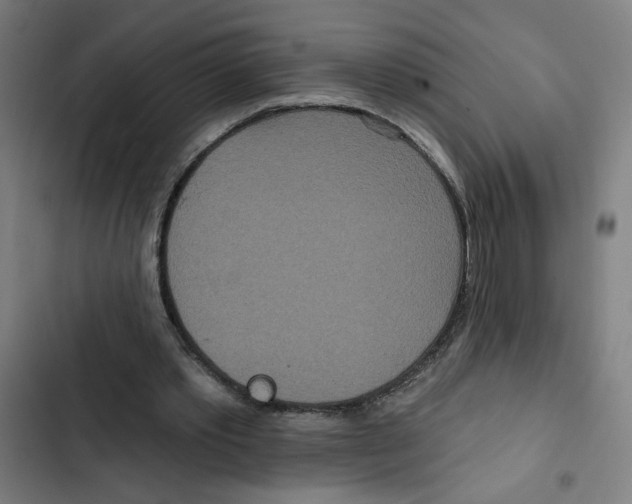 X0000102350389200808291206