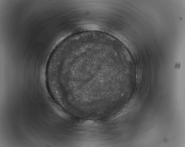 X0000102350390200808291206