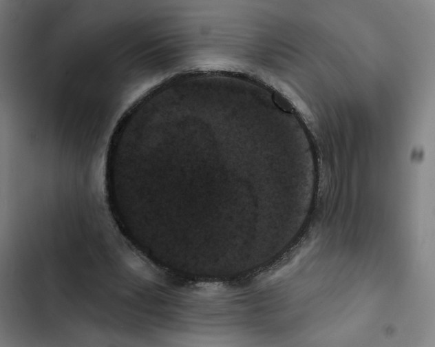 X0000102350391200808291206