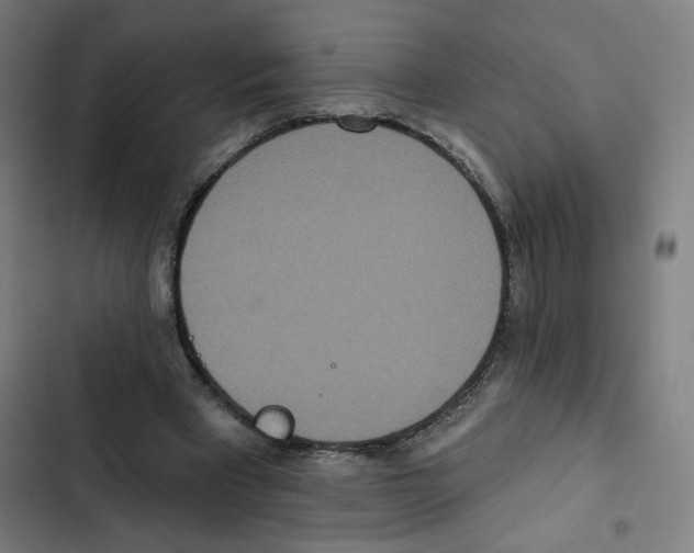 X0000102350393200808291206