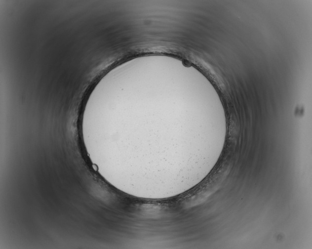 X0000102350394200808291206