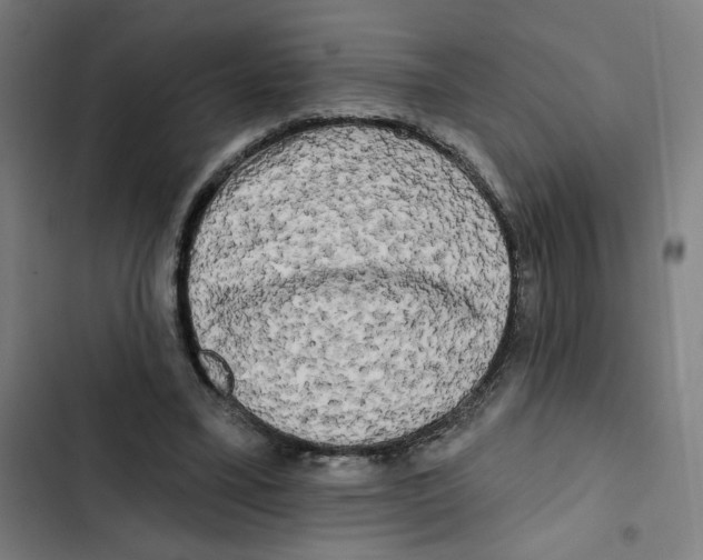 X0000102350395200808291206