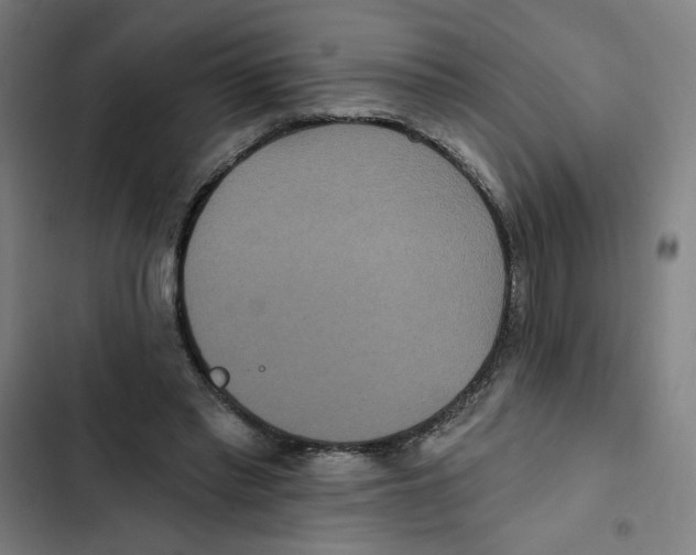 X0000102350397200808291206