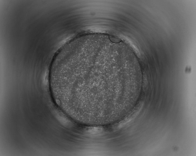 X0000102350398200808291206