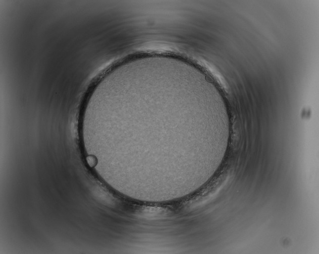 X0000102350399200808291206