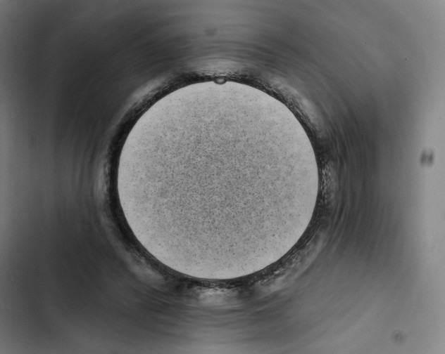 X0000102350400200808291206