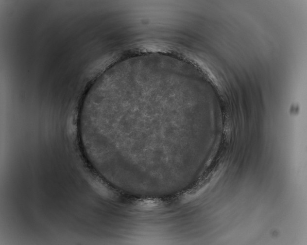X0000102350402200808291206